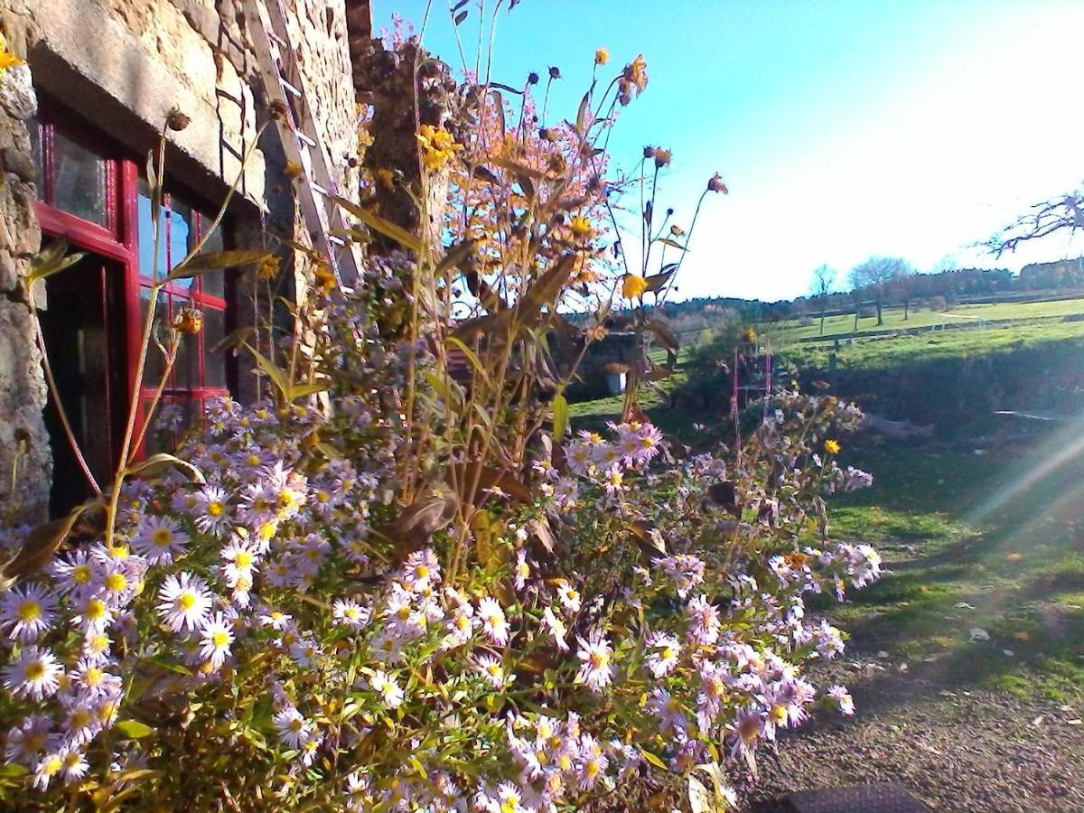 Bed and Breakfast Le Marconnès Saint-Arcons-de-Barges Esterno foto